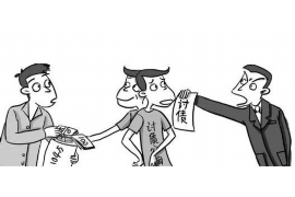 长白要钱公司：揭秘金融服务新势力